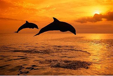 PS5产能提升帮助11月美国主机市场销售额飙升